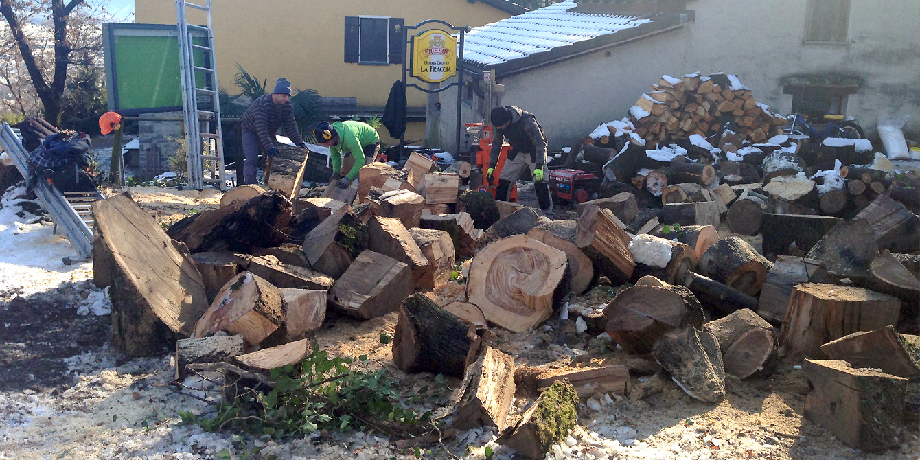 Legna di faggio per camini già tagliata