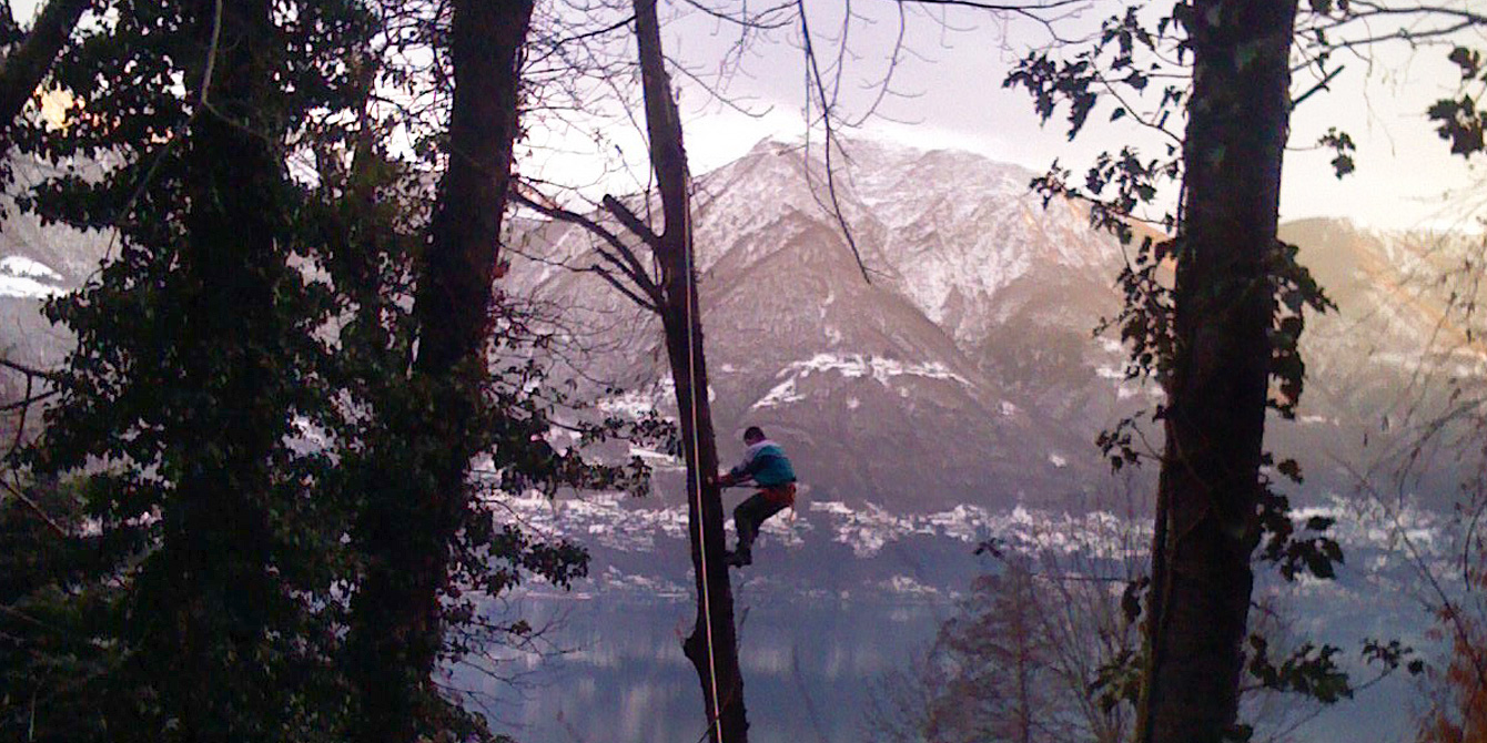 Performing cuts on the rope. Cutting of tall trees