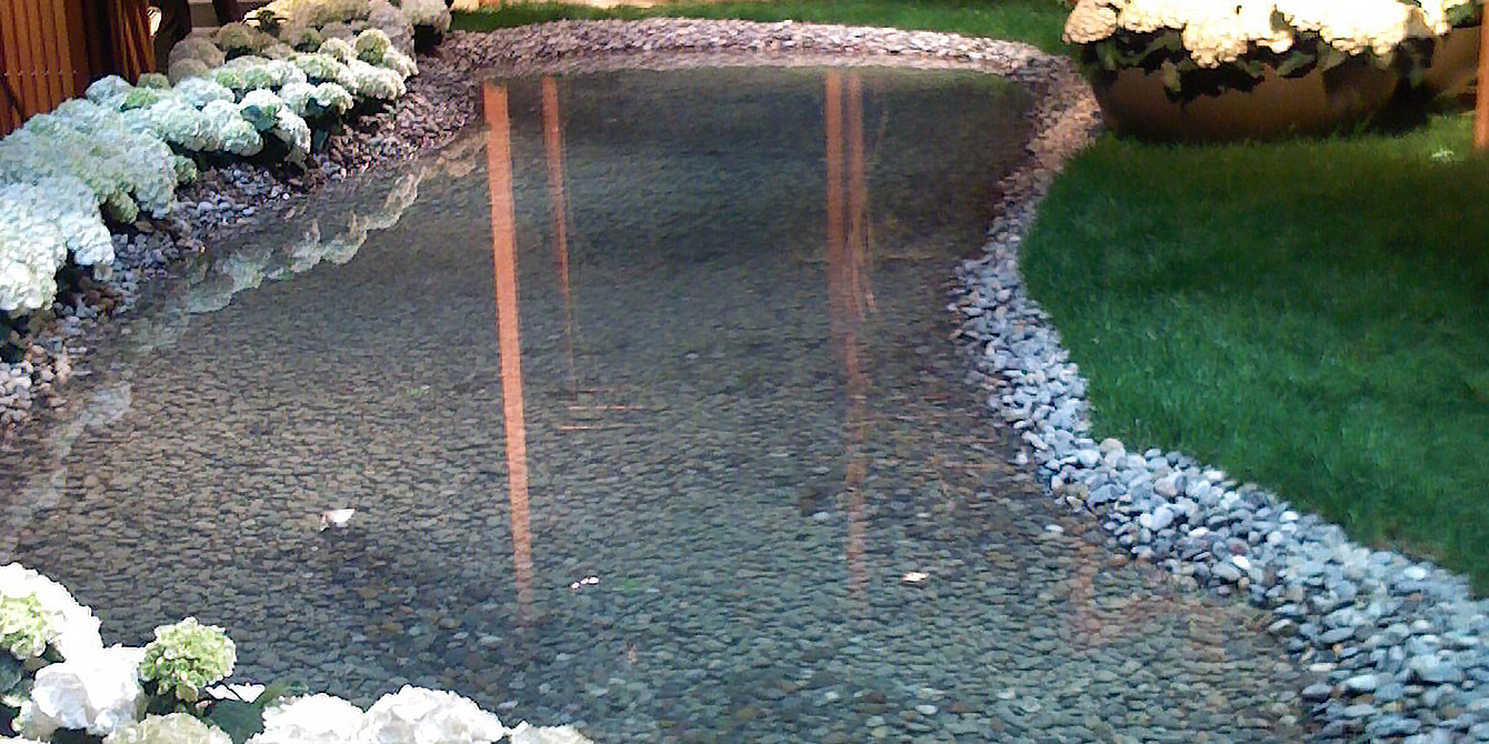 Small pond with Hydrangea